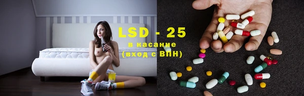 ПСИЛОЦИБИНОВЫЕ ГРИБЫ Абаза