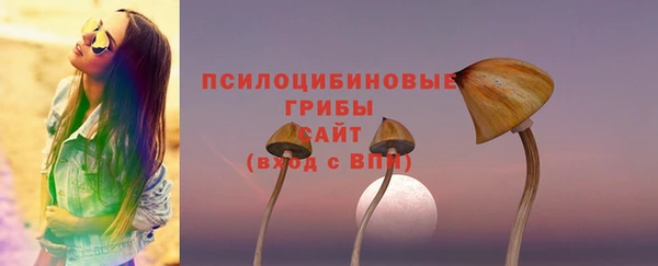 первитин Абинск