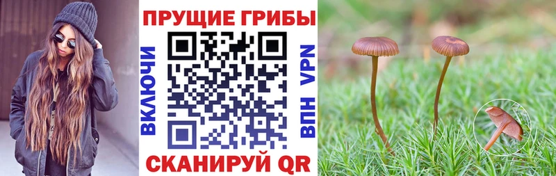 Галлюциногенные грибы MAGIC MUSHROOMS МЕГА онион Южа